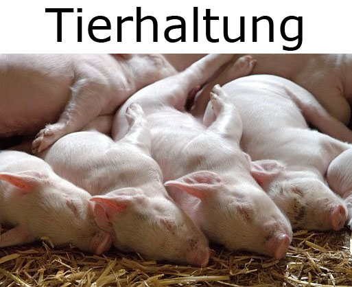 tierhaltung