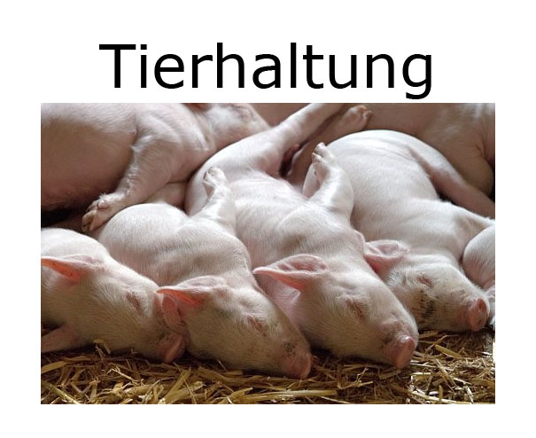 tierhaltung_hover